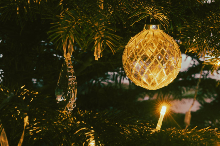 The Joy of Artificial Christmas Trees for Picnic-Perfect Park Days